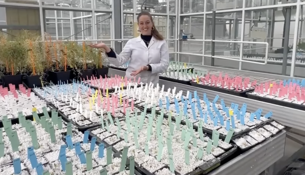 Nazaret muestra su trabajo.