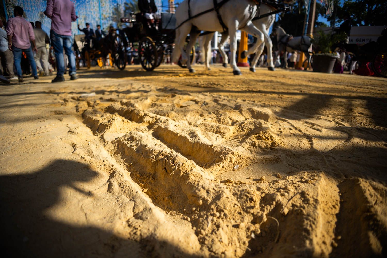 El albero de la Feria de Jerez este 2025.