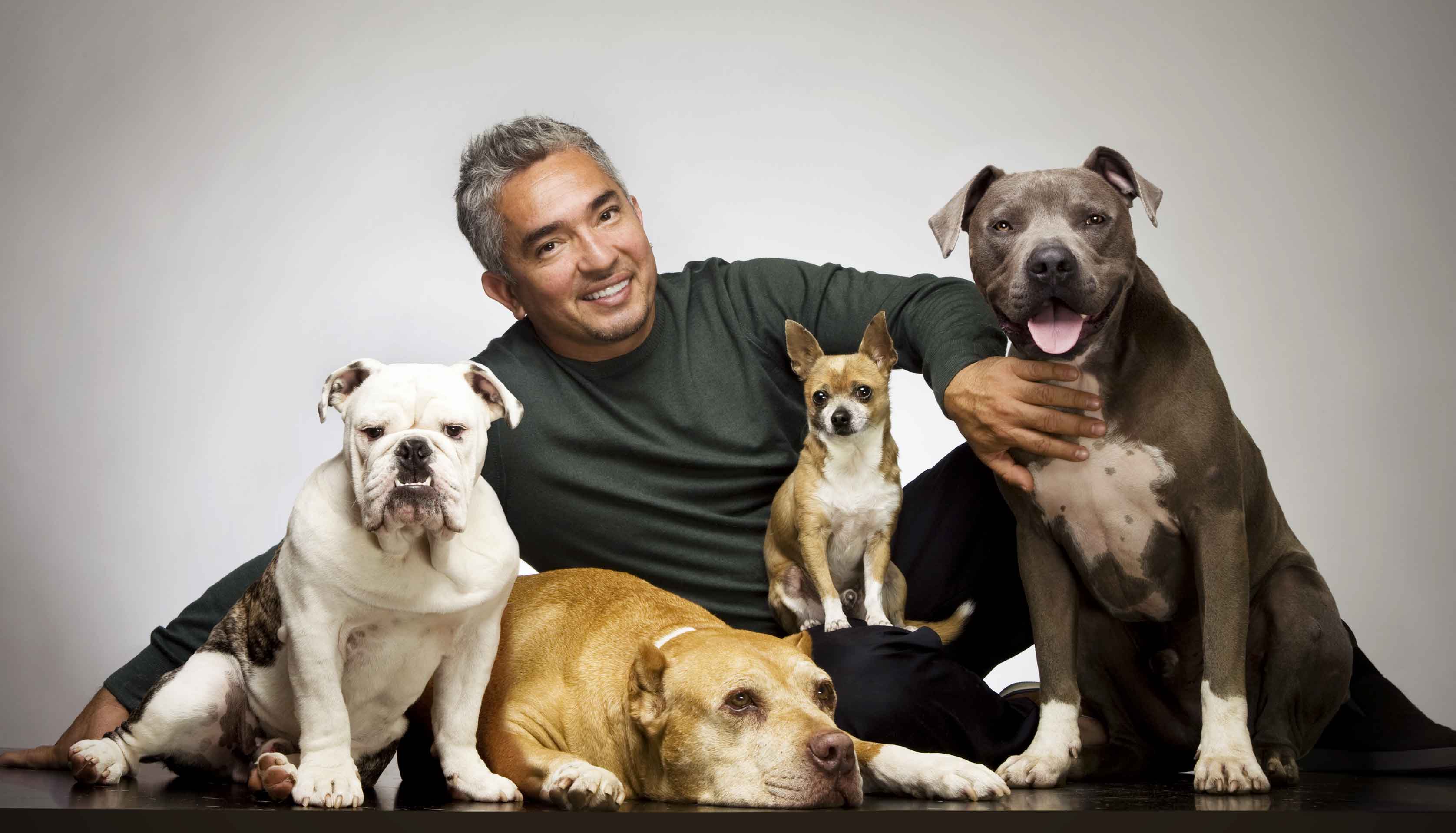 la-gran-fortuna-de-cesar-millan-el-encantador-de-perros.jpg