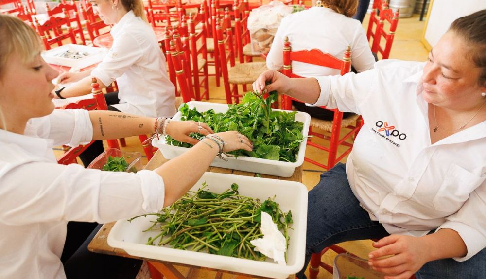 Gastronomia Feria reportaje  7