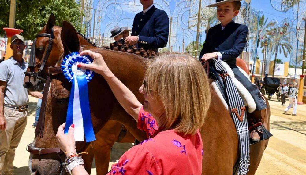 Uno de los caballos distinguidos.