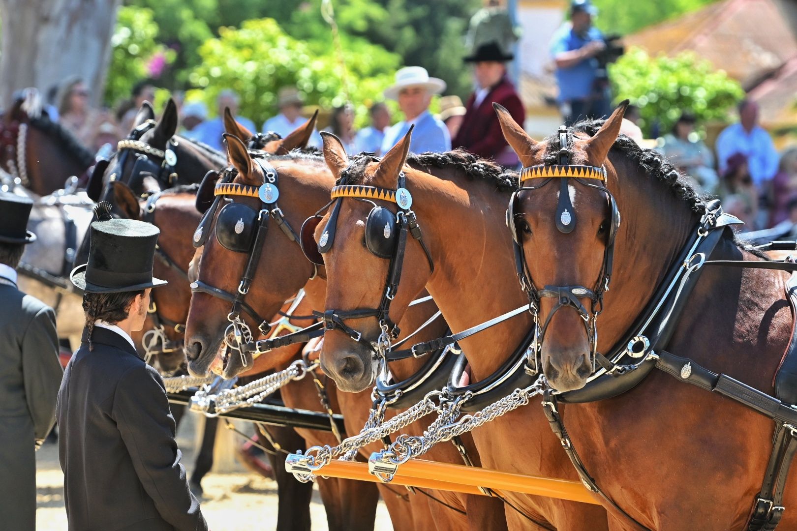 La emotiva entrega del Caballo de Oro 2024 a Francisco Dorantes, en imágenes