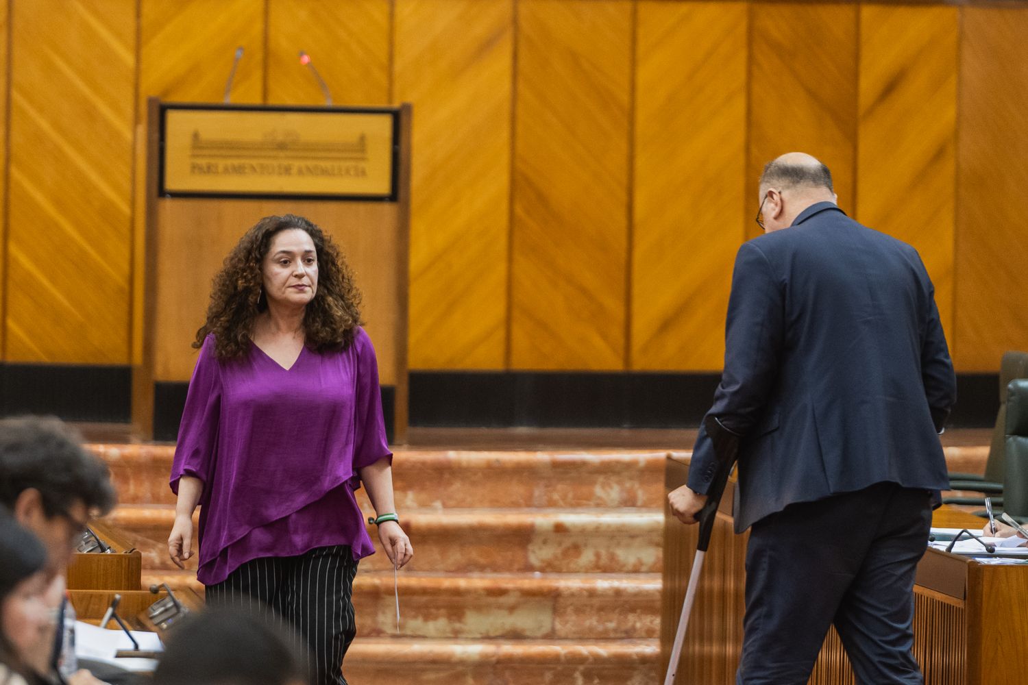 PLENO PARLAMENTO ANDALUCIA 28 MAYO 2025 6 INMACULADA NIETO