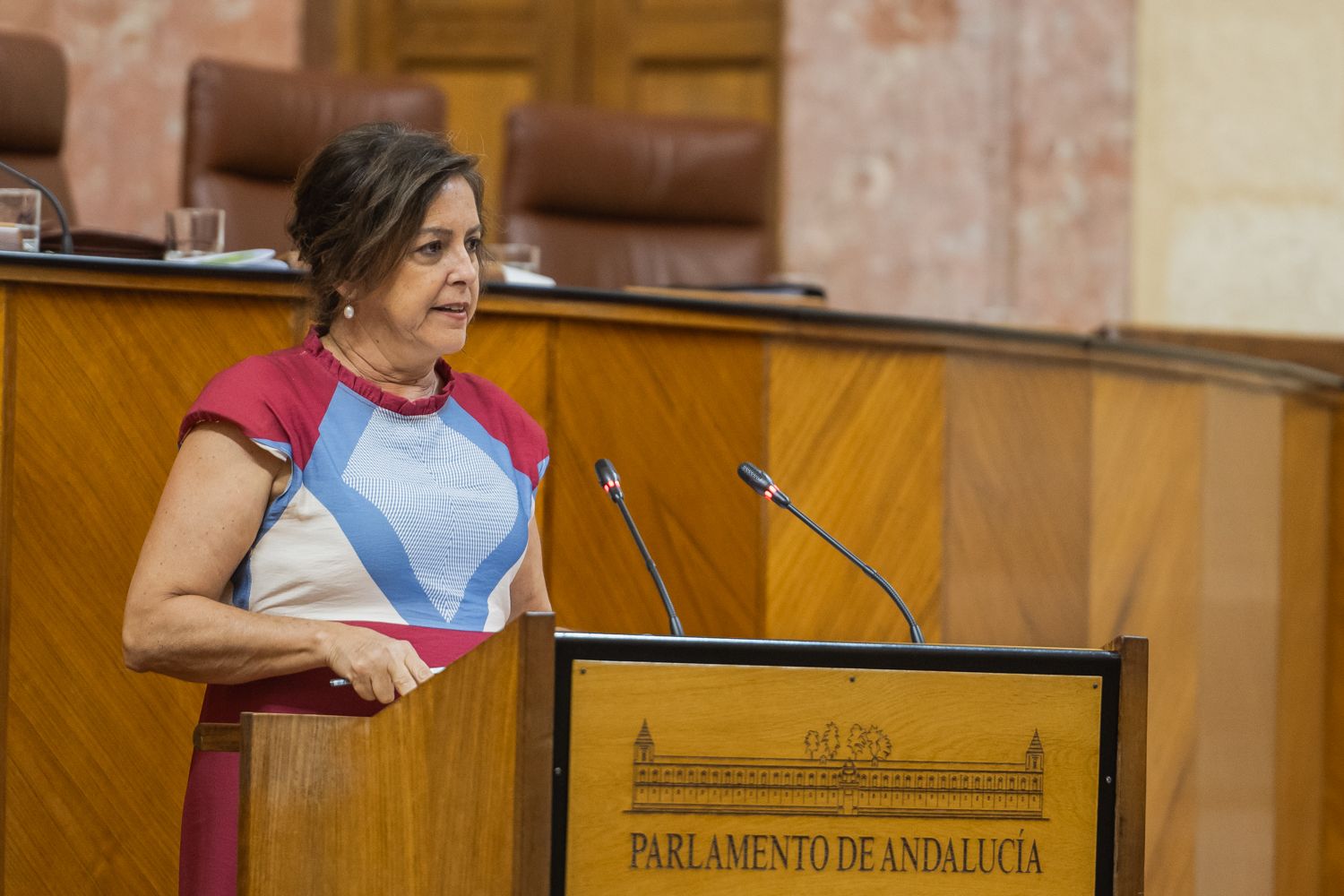 Catalina García, consejera de Sostenibilidad, en un pleno del Parlamento. Catalina García, consejera de Sostenibilidad, en un pleno del Parlamento.