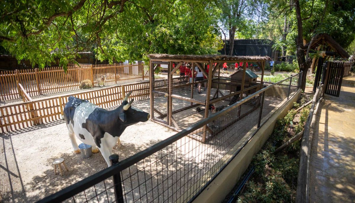 ZOOBOTANICO NUEVA INSTALACION ANIMALES DE GRANJA INAUGURACION 01