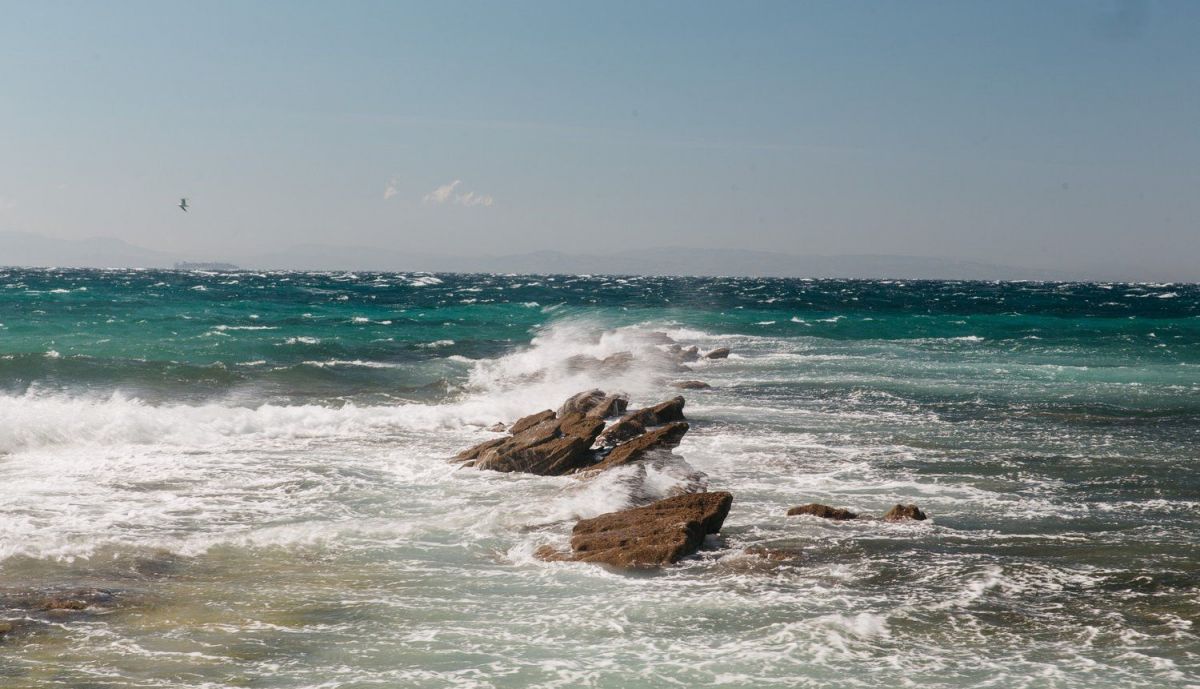 0011pacomarinlevantera