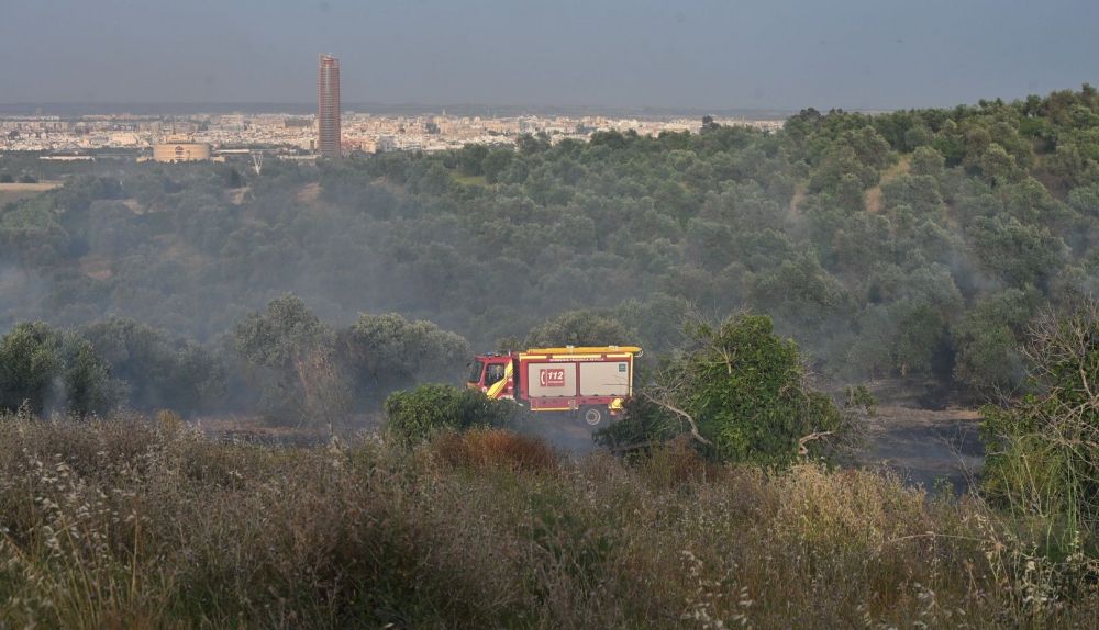 El incendio, en un olivar de Camas, con Sevilla al fondo.