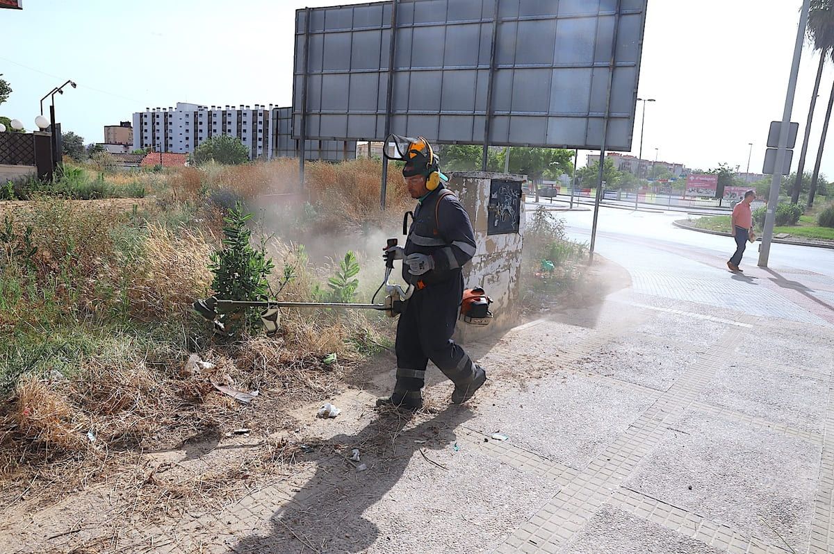 Tareas de desbroce junto a los colegios en Jerez.