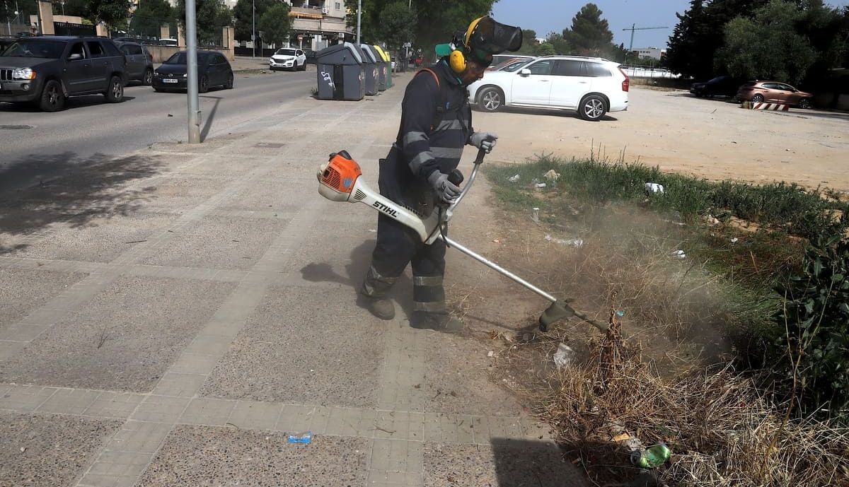 Trabajos de desbroce.