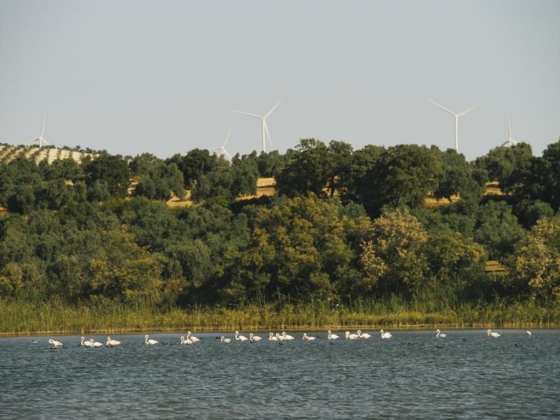 martin jara reserva natural 05 (1)