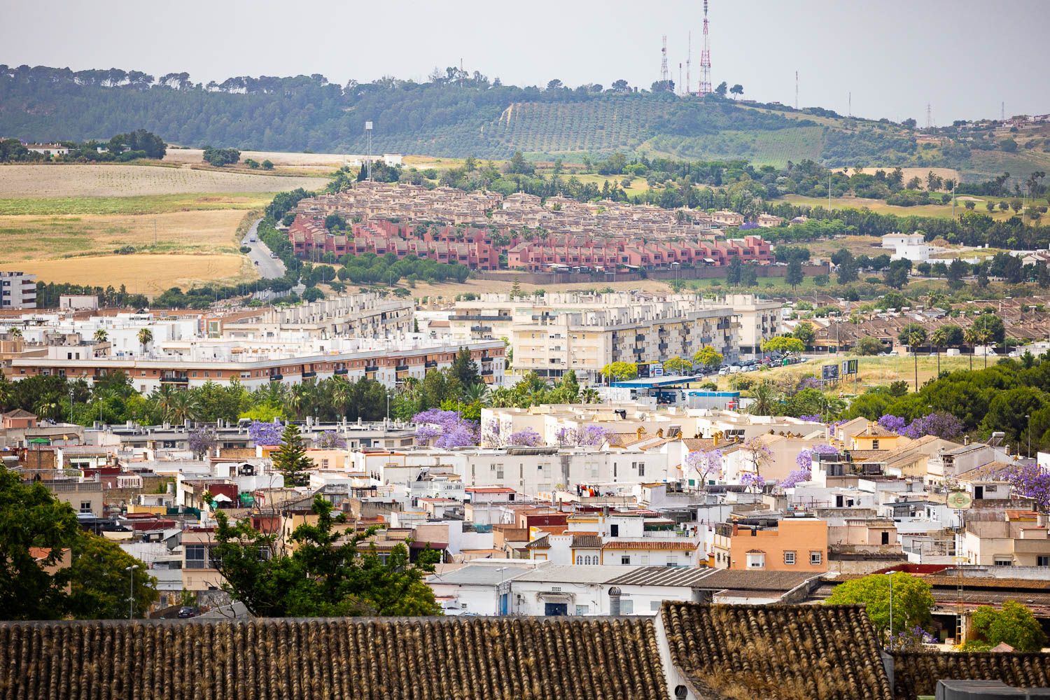 La Zona Sur de Jerez.