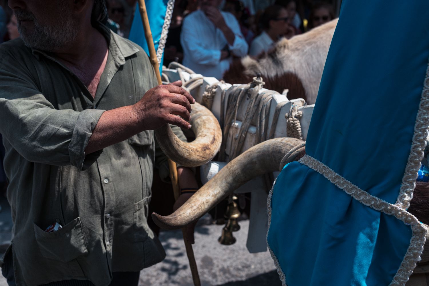 Bueyes tirando de una carreta.
