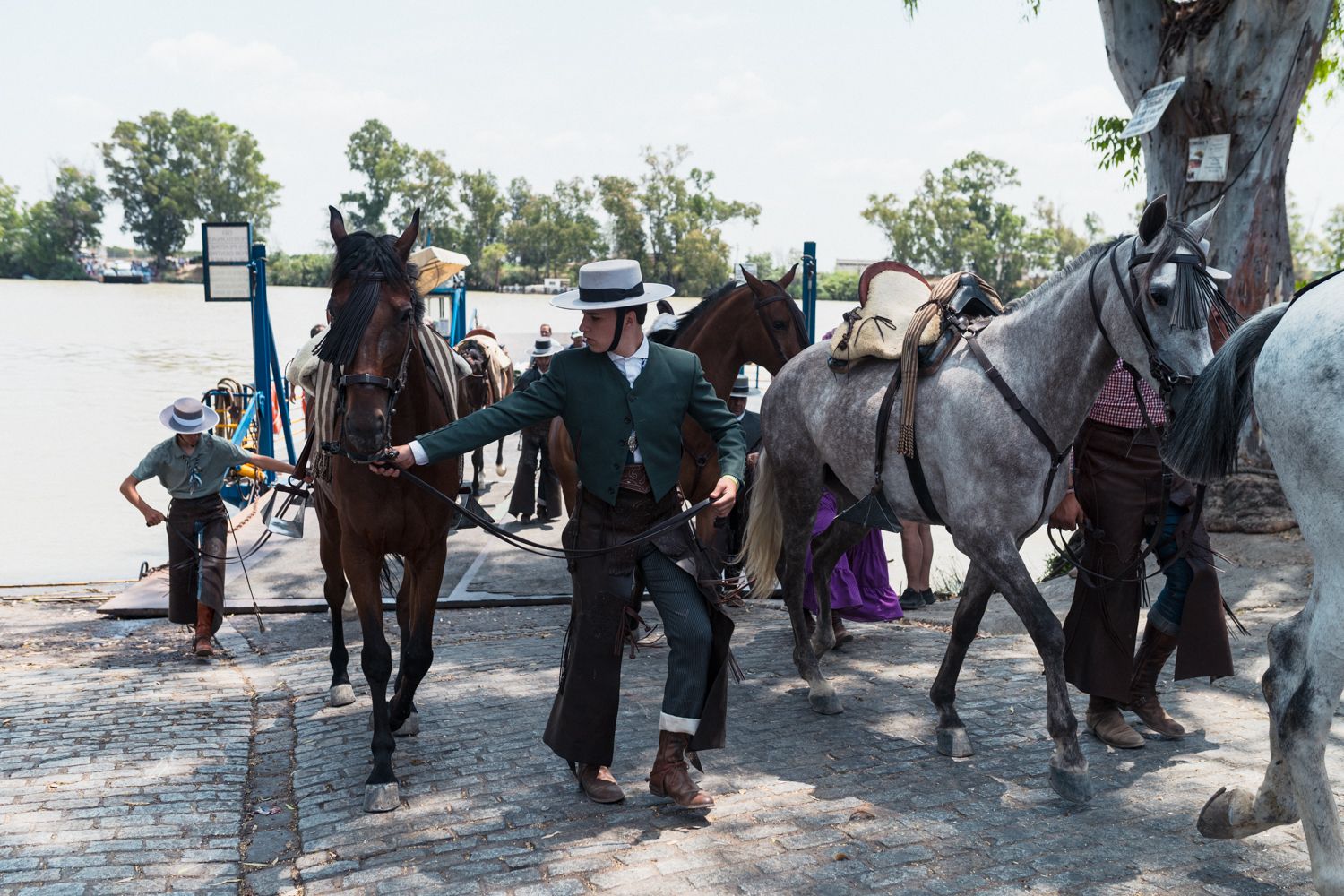Desembarque de caballos en la orilla de Coria.