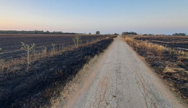 incendios sevilla este 1