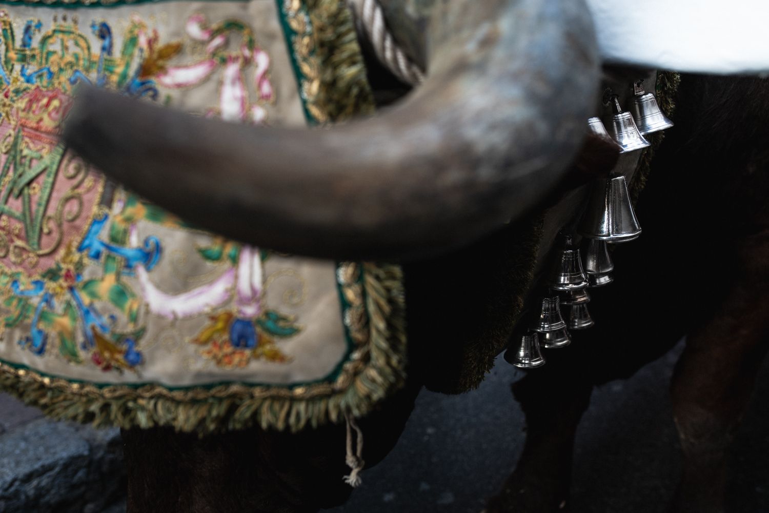 Detalle de los frontiles de los bueyes de la carreta del simpecado de la Hermandad de Triana.