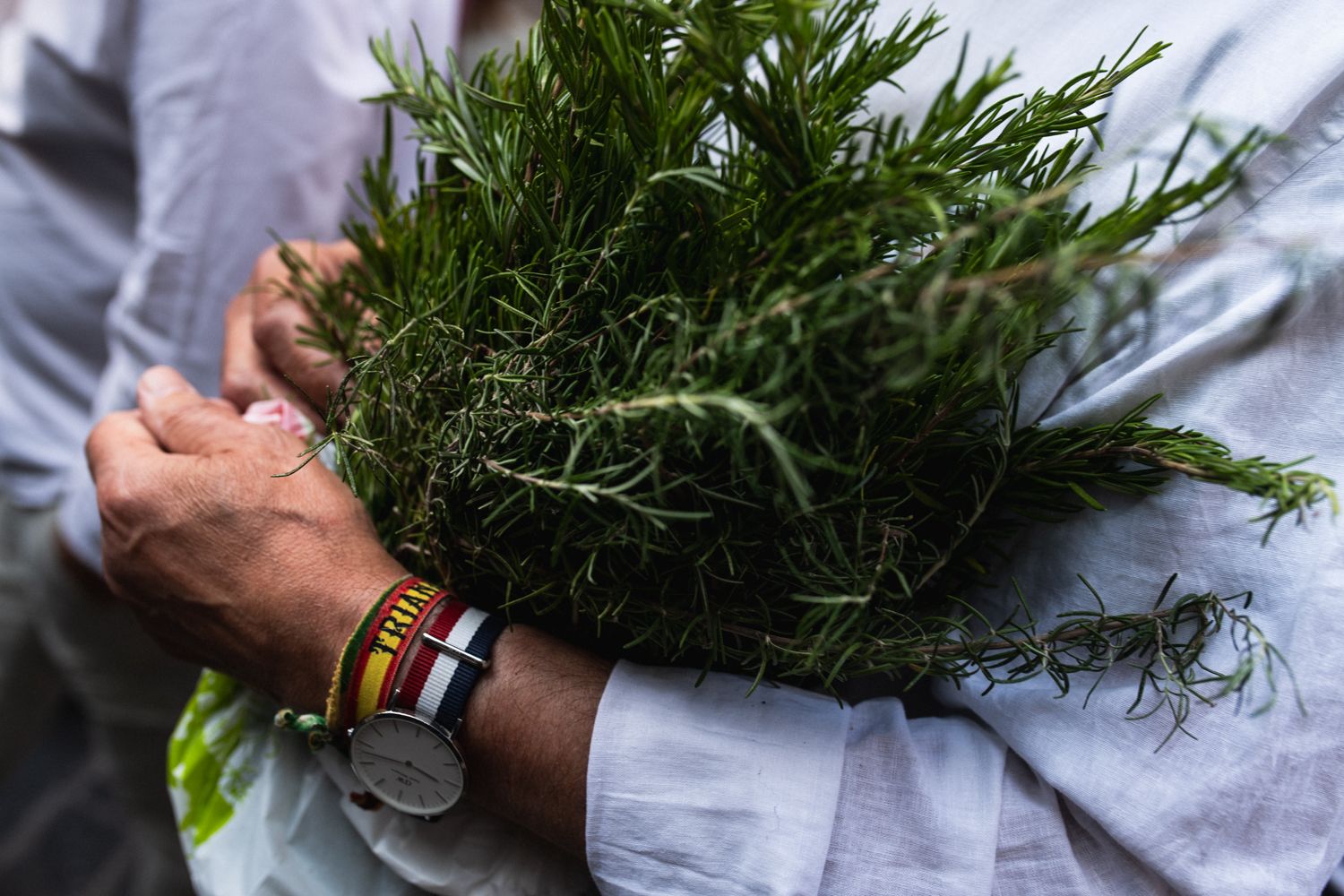 Un peregrino, con un manojo de romero, repartiendo entre los hermanos.