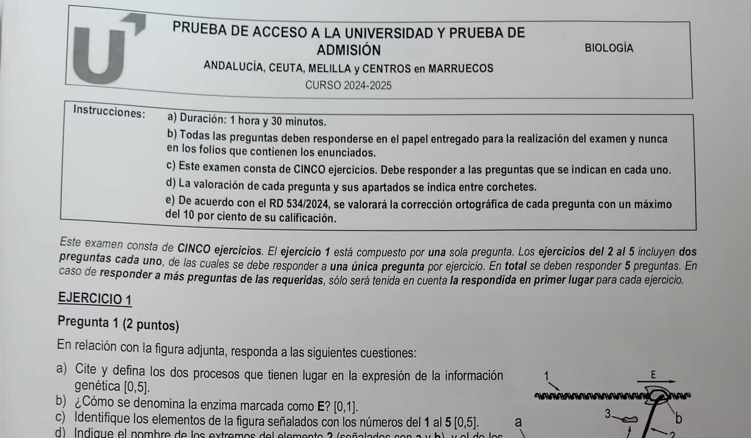 Un extracto del examen de Biología de la PAU de Andalucía 2025.