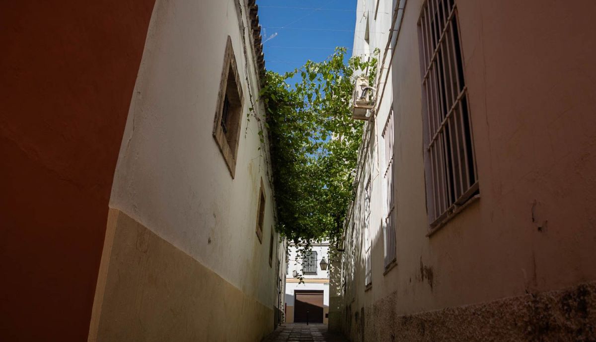 PARRAS CALLE CADENAS Y SIETE REVUELTAS 1