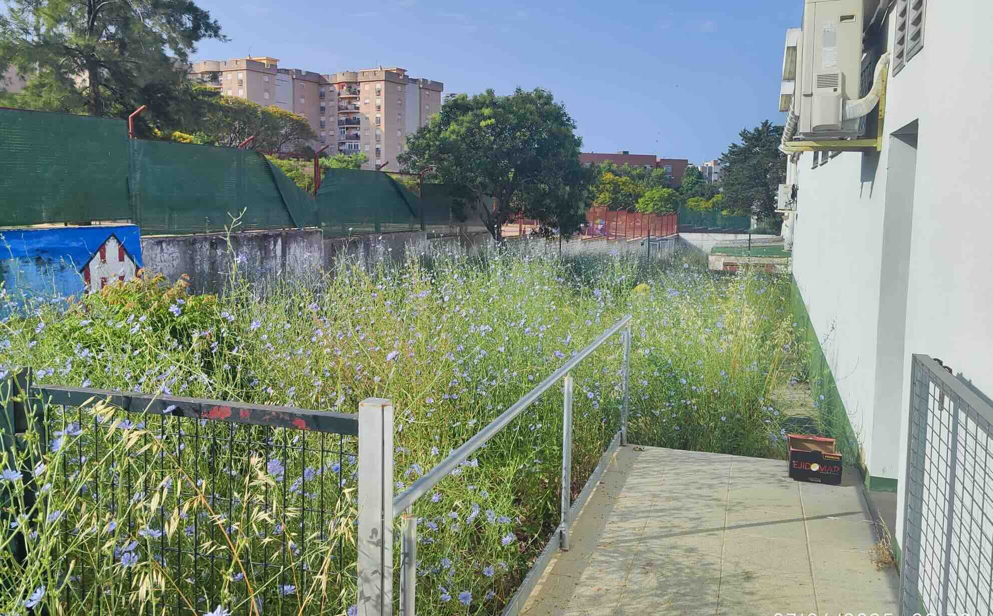 Tremendo abandono del CEIP García Lorca en la zona sur de Jerez, en una imagen de esta semana.