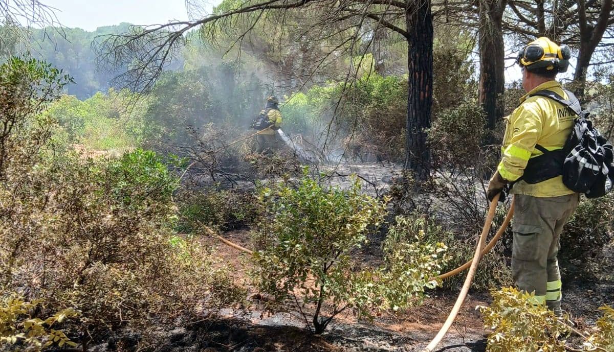 Un momento de las labores de extinción.