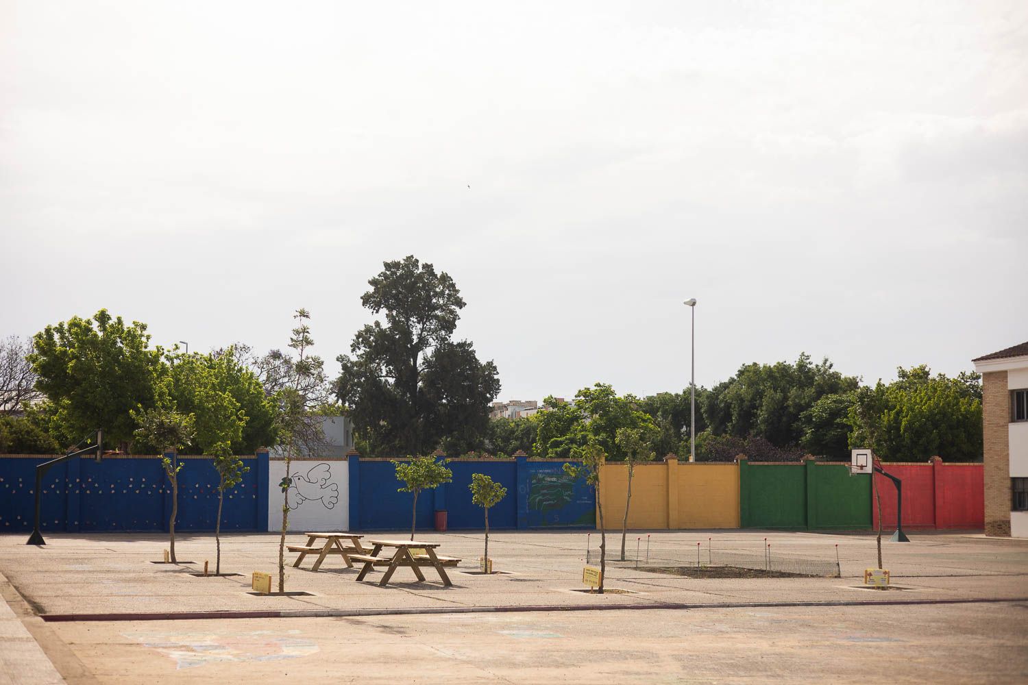 Los colegios públicos de Jerez, en la imagen el CEIP San Vicente Paul, contarán con un nuevo servicio de limpieza cuando se ultime la adjudicación del nuevo contrato. Los colegios públicos de Jerez, en la imagen el CEIP San Vicente Paul, contarán con un nuevo servicio de limpieza cuando se ultime la adjudicación del nuevo contrato.