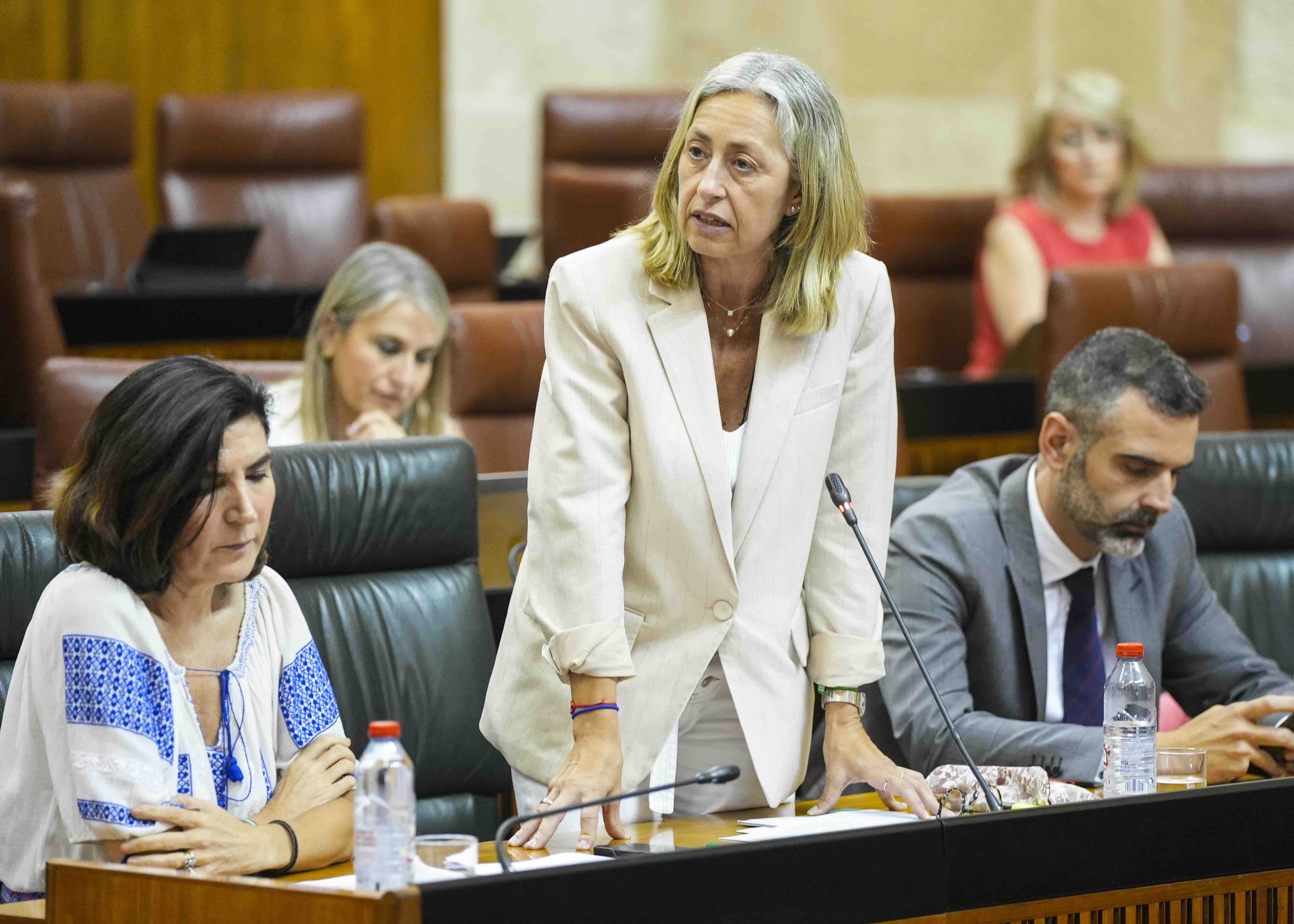 La consejera de Salud y Consumo, Rocío Hernández, responsable del SAS.