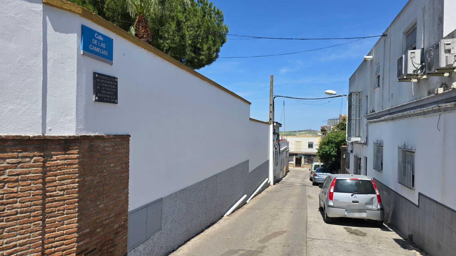 La calle Las Camelias, en la barriada jerezana de Picadueñas.