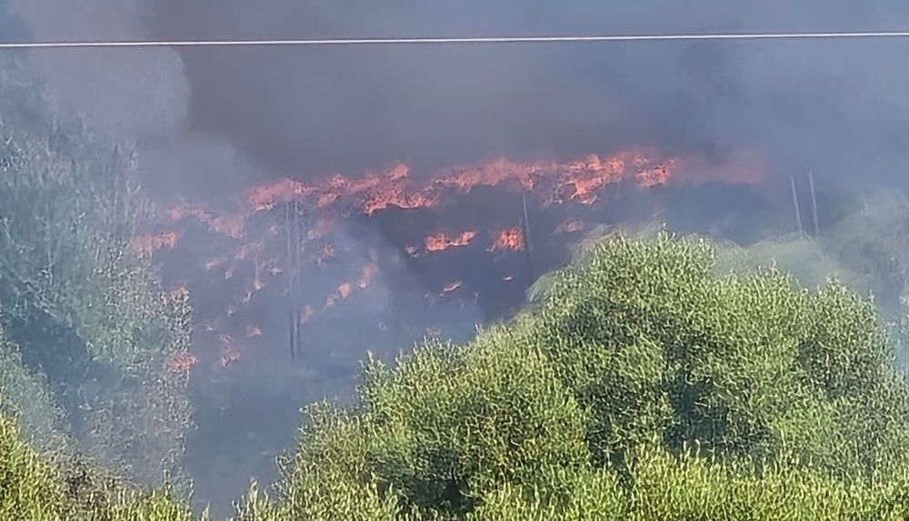 incendio las calandrias JESÚS CATALÁN 00001