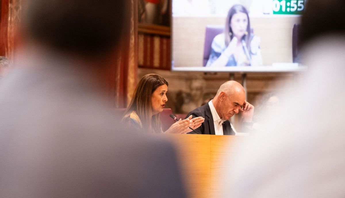 PLENO AYUNTAMIENTO SEVILLA 16 JUNIO 2025 14 SONIA GAYA