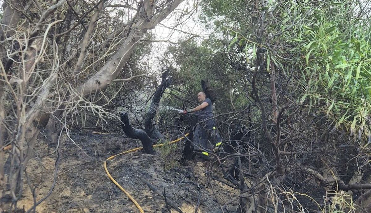 Labores de extinción en la zona próxima al paseo de madera.