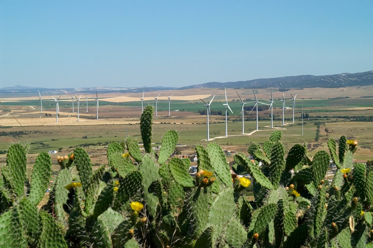 Parque eólico La Herrería de Statkraft, en Cádiz.