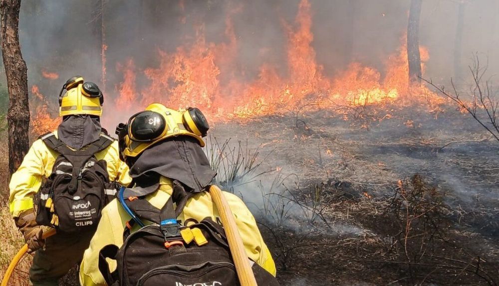 Los bomberos de Infoca, en un incendio forestal reciente en Almonte.