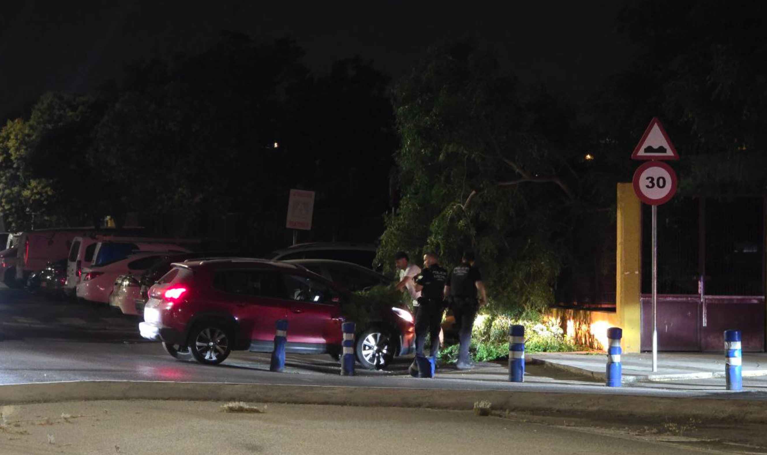 La rama de gran tamaño de un árbol del colegio San José Obrero ha caído sobre un coche.