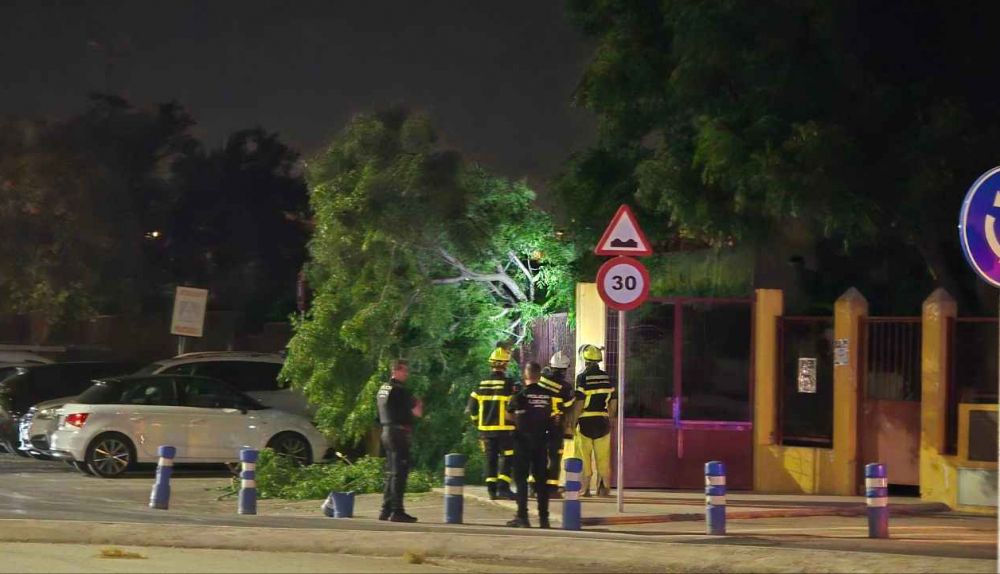 Bomberos retiran la rama del árbol.
