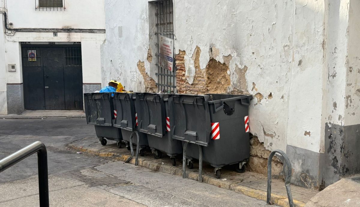 Contenedores en la calle Carmen Viejo.