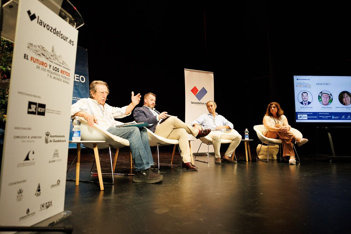 Los ponentes de la primera mesa del foro organizado por lavozdelsur.es.