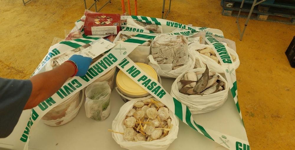 WhatsApp Image 2025 06 25 at 12.34.47