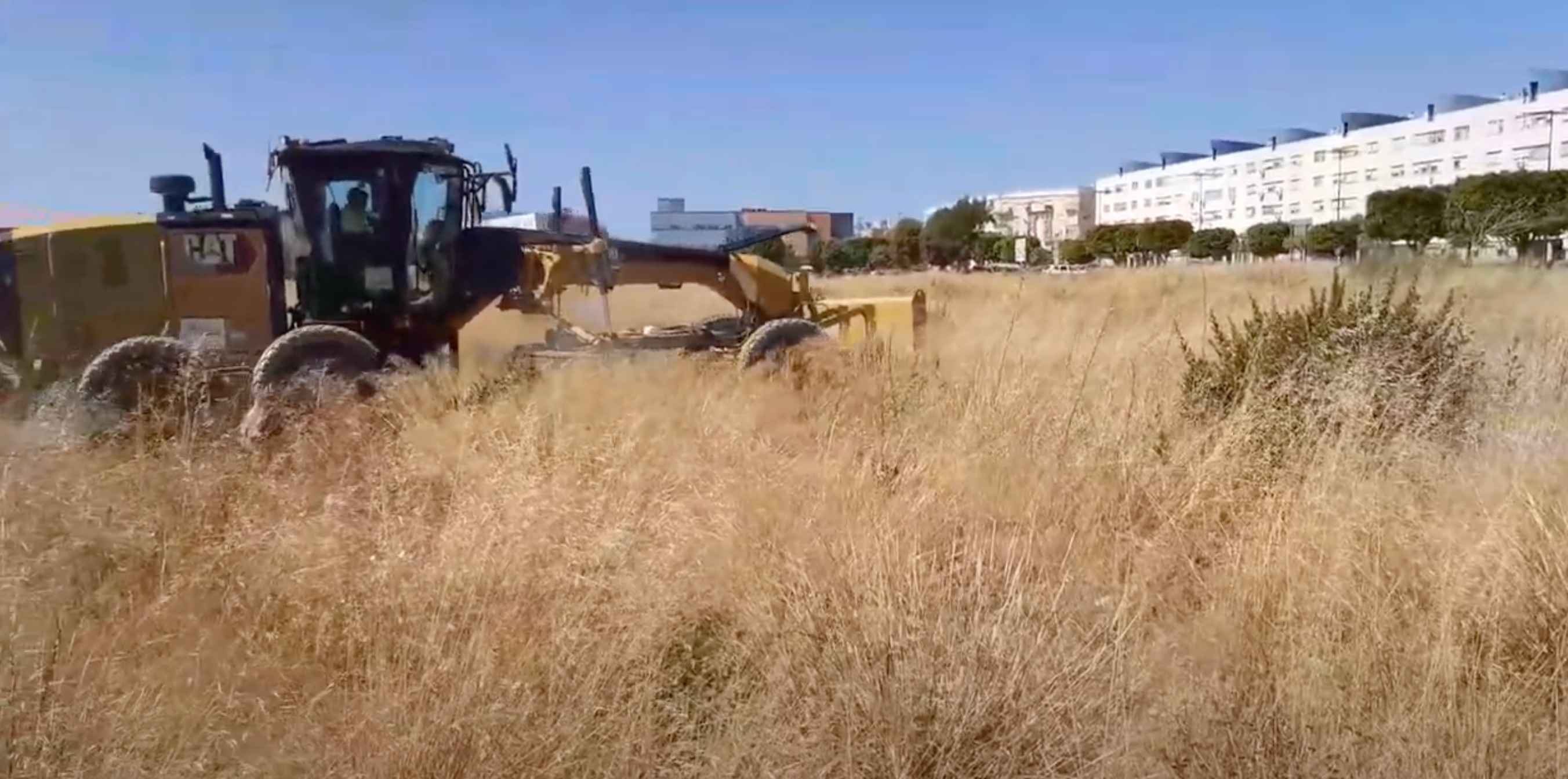 Trabajo de desbroce en los terrenos de La Magdalena, en San Fernando.