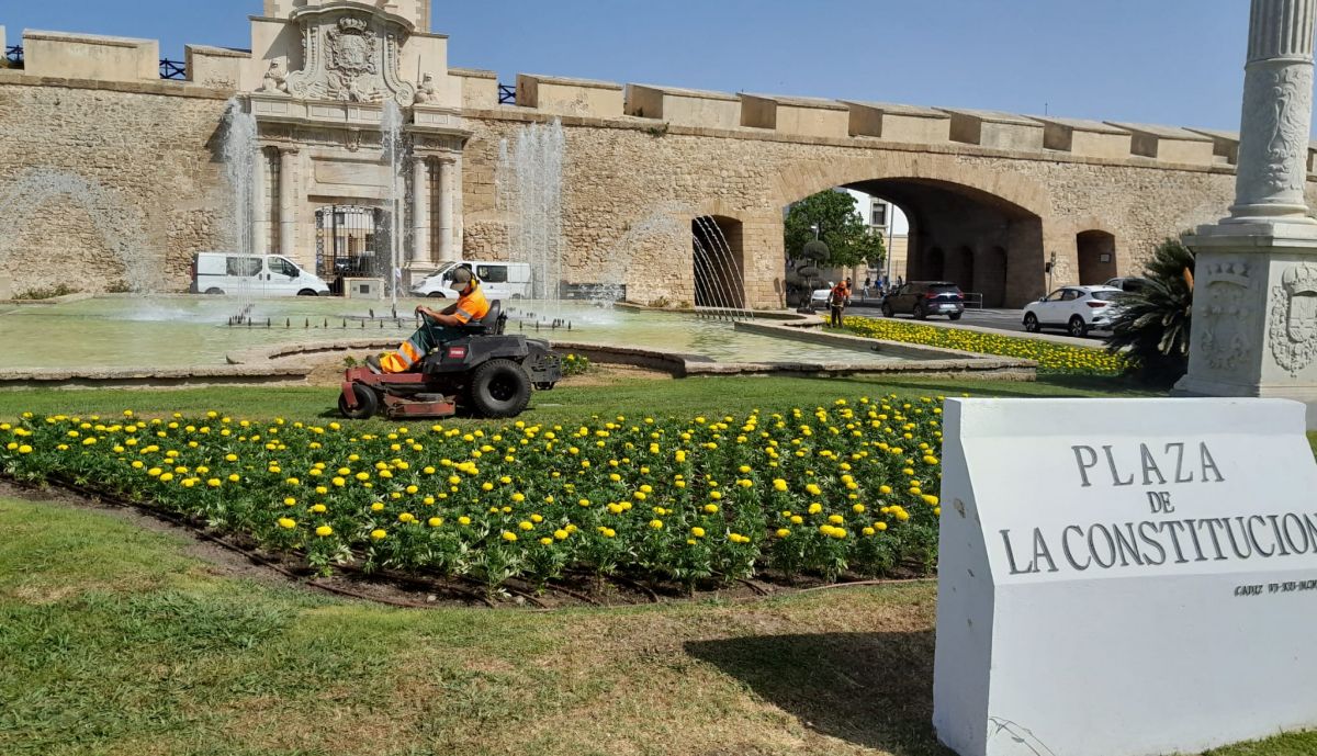 Cádiz se embellece con más plantas.