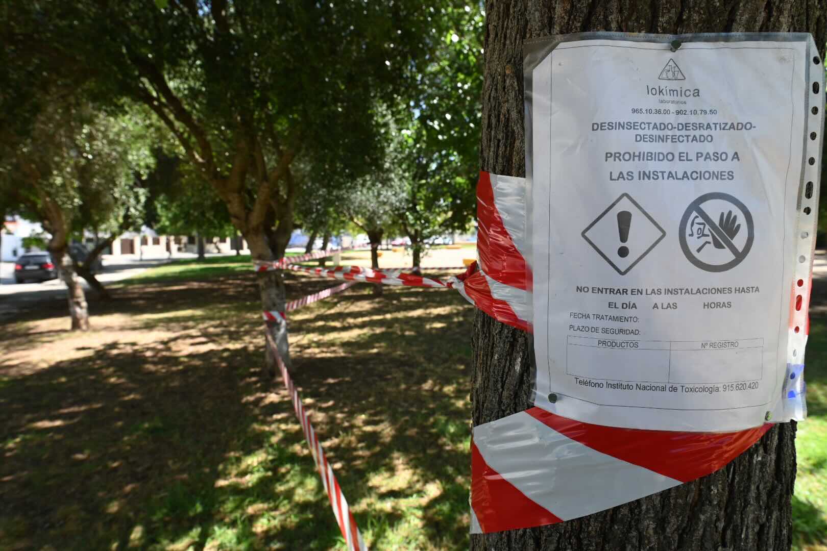 Refuerzo urgente contra las ratas en La Marquesa.