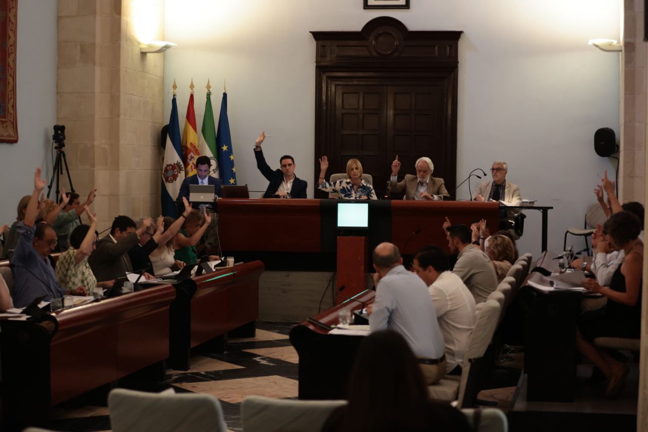 Un momento de la votación de un punto del pleno ordinario de junio en el Ayuntamiento de Jerez. Un momento de la votación de un punto del pleno ordinario de junio en el Ayuntamiento de Jerez.