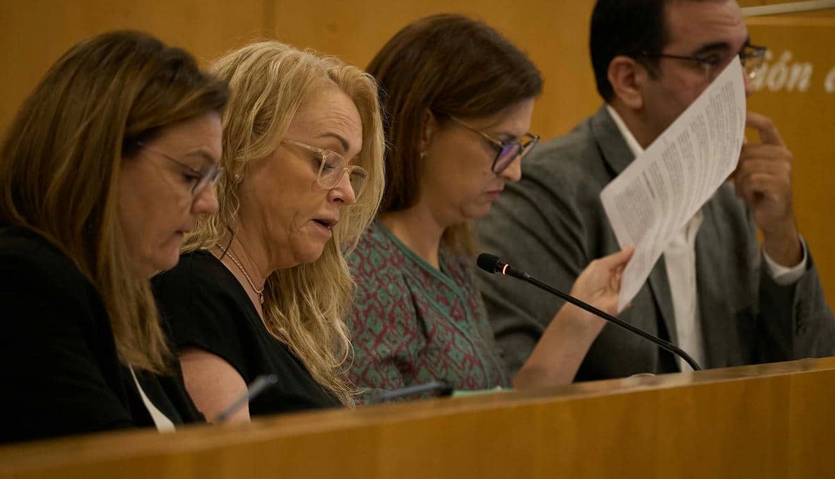 Un momento del pleno.