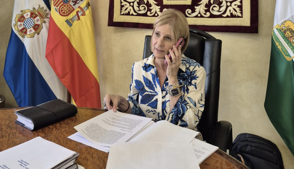 María José García Pelayo, en la reunión telefónica con Endesa.