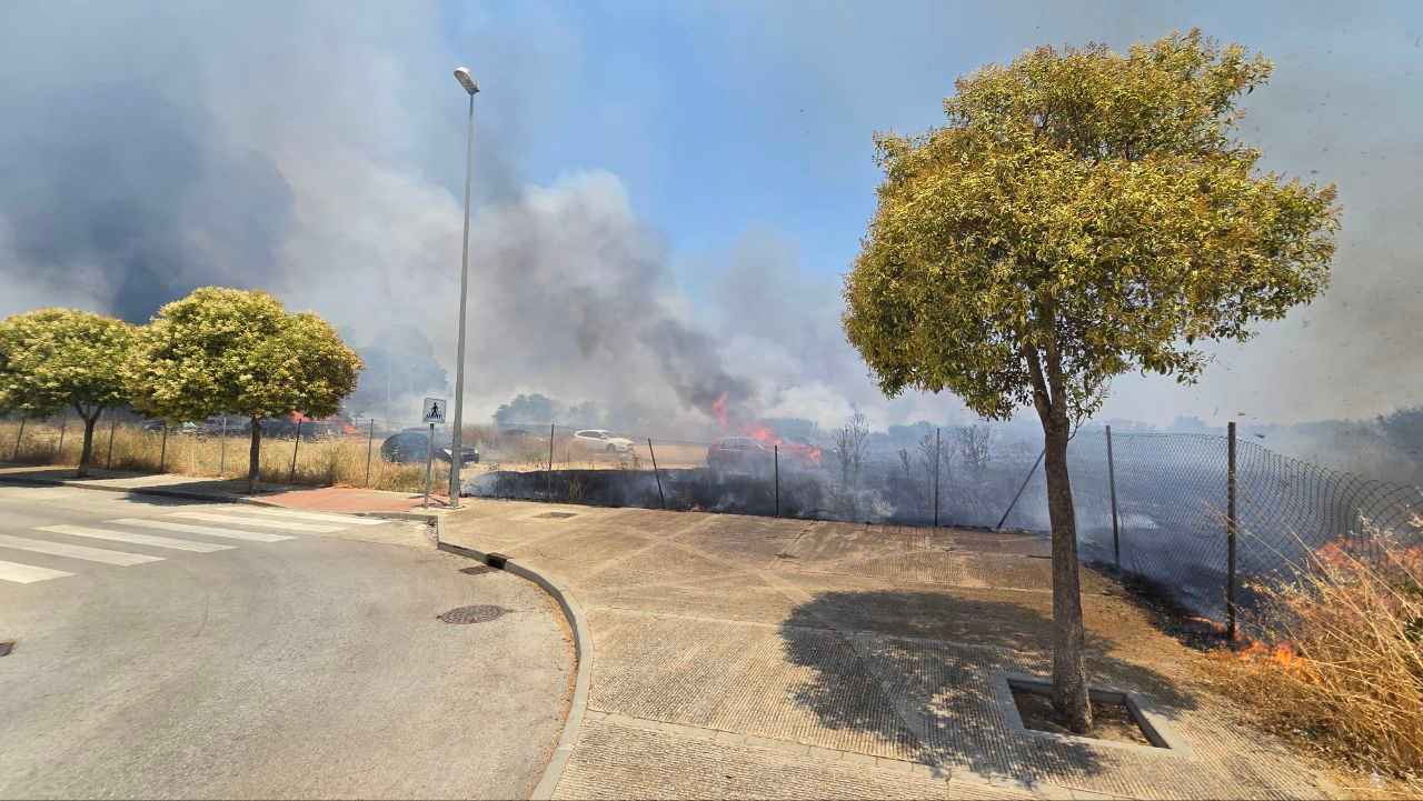 Humareda en la zona afectada por el incendio en Pozoalbero.