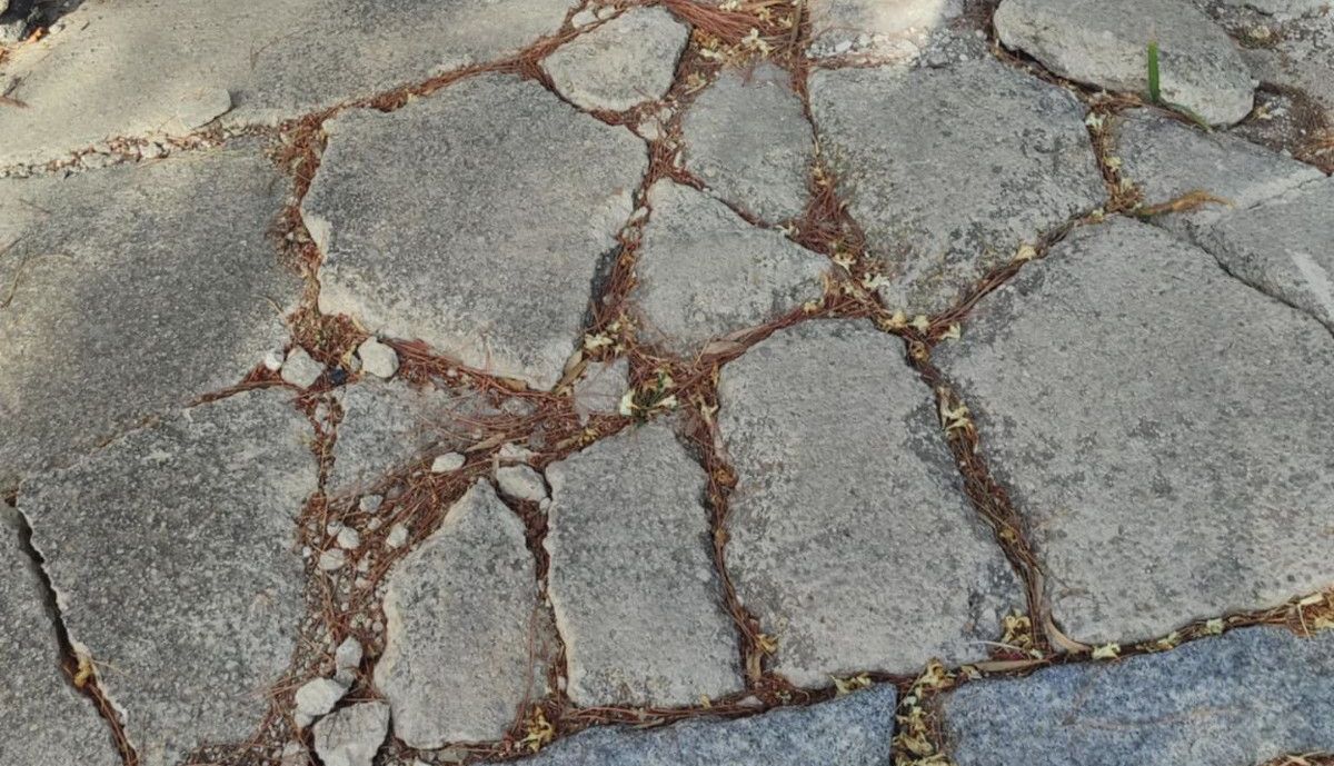 Estado de una de las aceras de Valdelagrana.