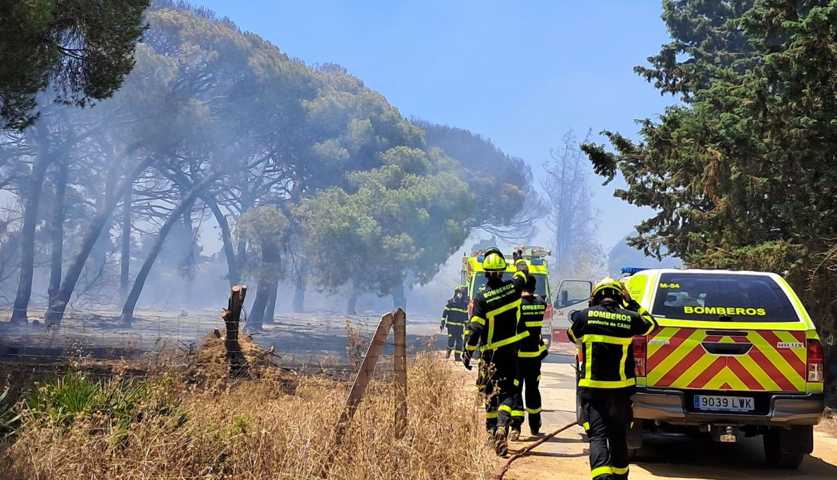 pinar roche incendio forestal conil