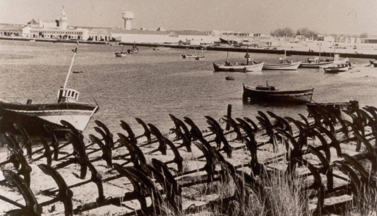 WhatsApp Image 2025 07 07 at 13.05.38