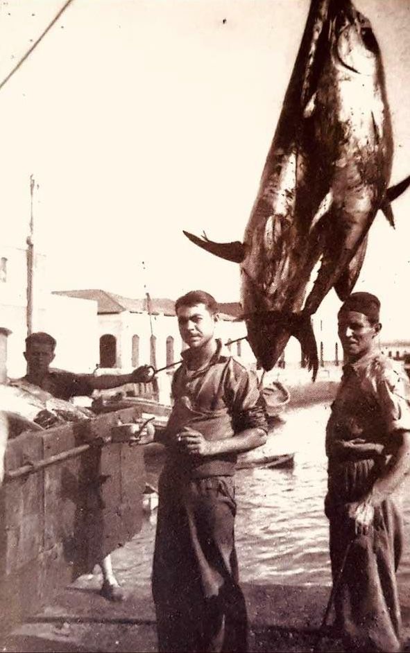 WhatsApp Image 2025 07 07 at 13.05.25