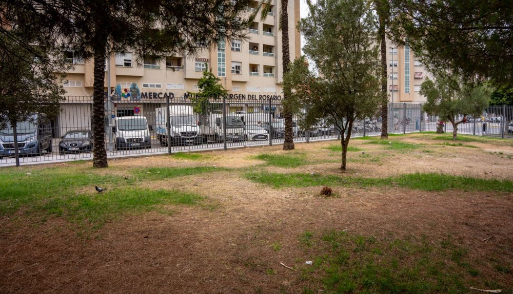 MERCADO DE ABASTO NTRA. SRA. DEL ROSARIO   CADIZ  23