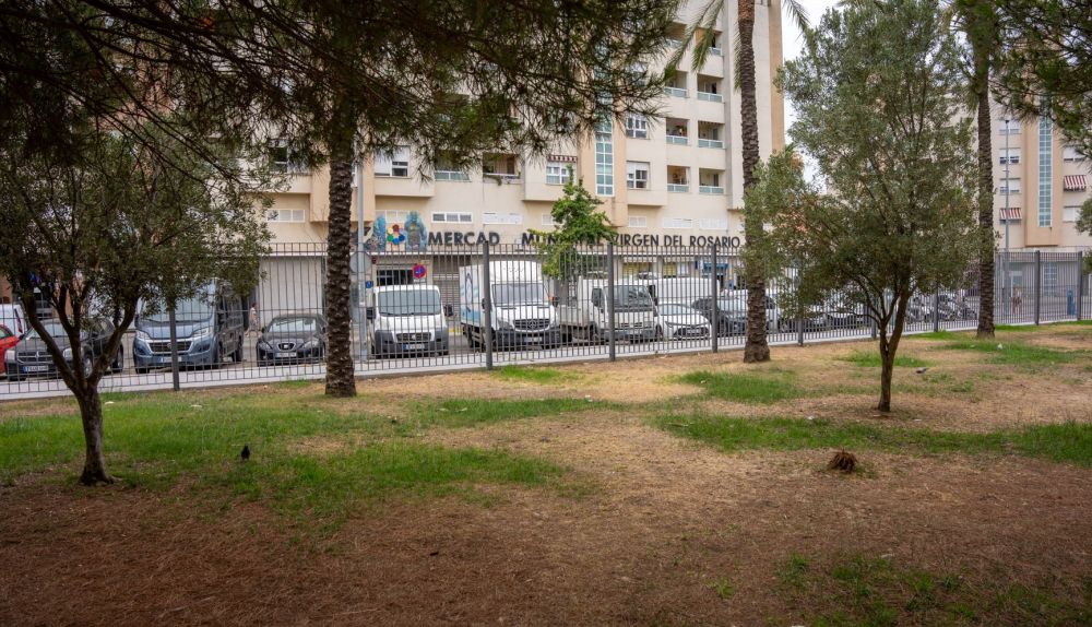 MERCADO DE ABASTO NTRA. SRA. DEL ROSARIO   CADIZ  24